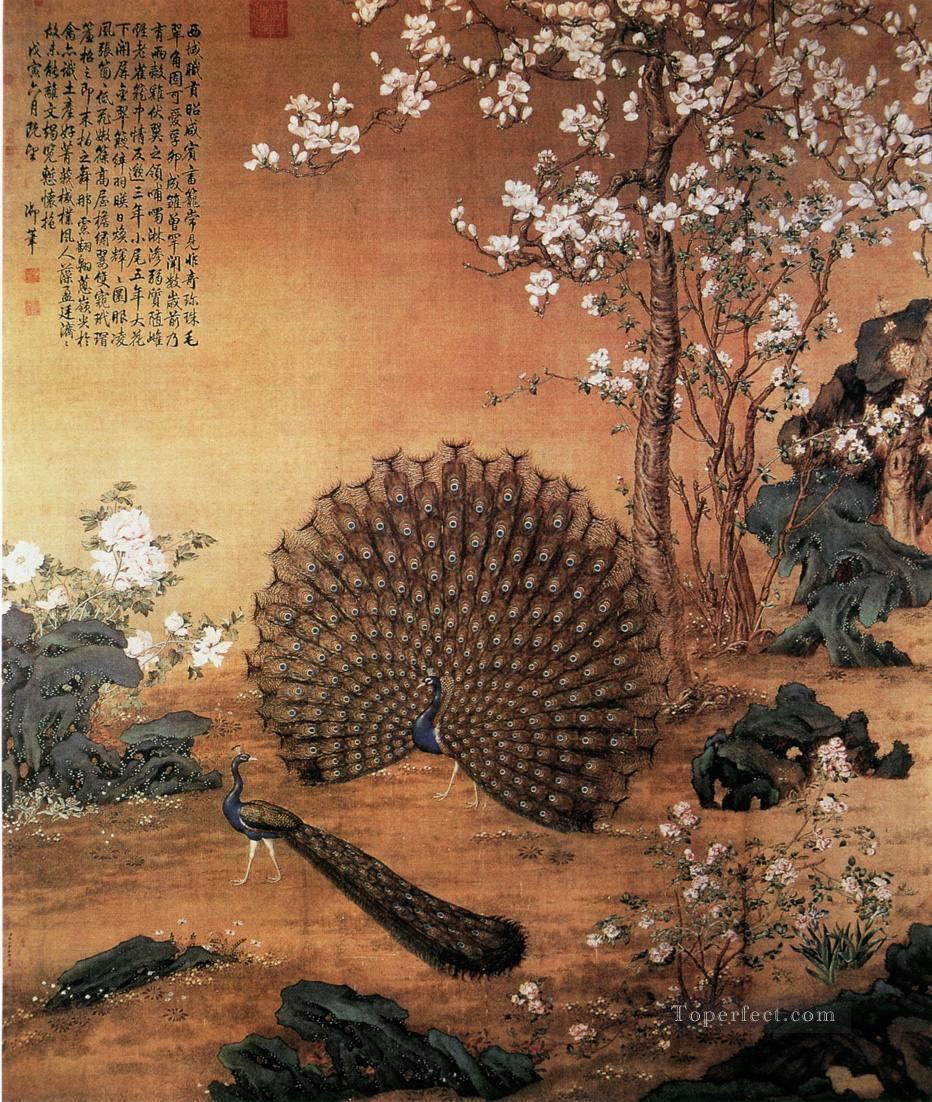 Lang brillando Proudasa Pavo real tinta china antigua Giuseppe Castiglione pájaros Pintura al óleo